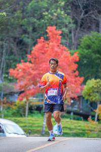 BIB: 8214
                            <button type="button" onclick="openModal(19239230)" class="btn btn-primary btn-sm float-right btn-popup" data-toggle="modal" data-target=".modal-high-quality">
                        <i class="fas fa-shopping-cart"></i> Add to Cart
                    </button>
                                            <button type="button" onclick="isThisMe(19239230, true)" class="btn btn-success btn-sm float-right btn-popup btn-isme hidden" data-toggle="tooltip" data-placement="bottom" title="นี่คือรูปของคุณใช่ไหม คลิกที่นี่เพื่อเอาเข้าอัลบั้ม">
                        <i class="fas fa-plus"></i> Add to album
                    </button>
                    <button type="button" onclick="isThisMe(19239230, false)" class="btn btn-warning btn-sm float-right btn-popup btn-isnotme hidden">
                        <i class="fas fa-ban"></i> Remove from album
                    </button>